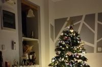 Božićna drvca 2025.