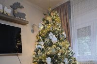 Božićna drvca 2025.