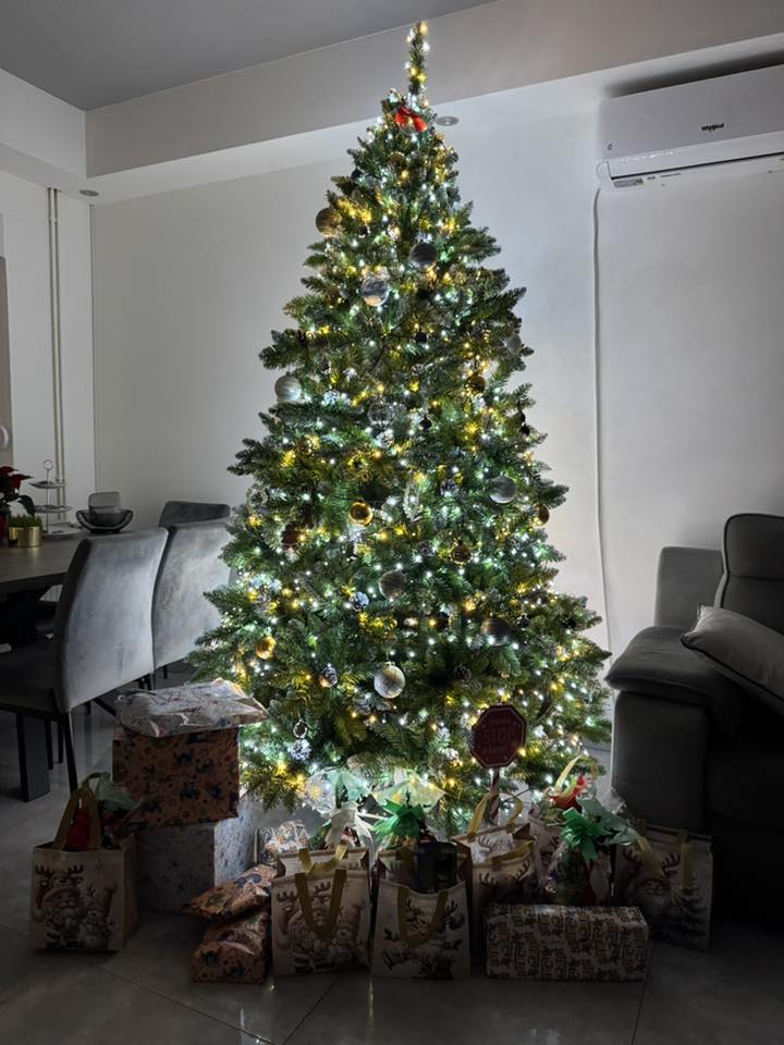 Božićna drvca 2025.