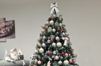 Božićna drvca 2025.