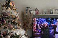 Božićna drvca 2025.