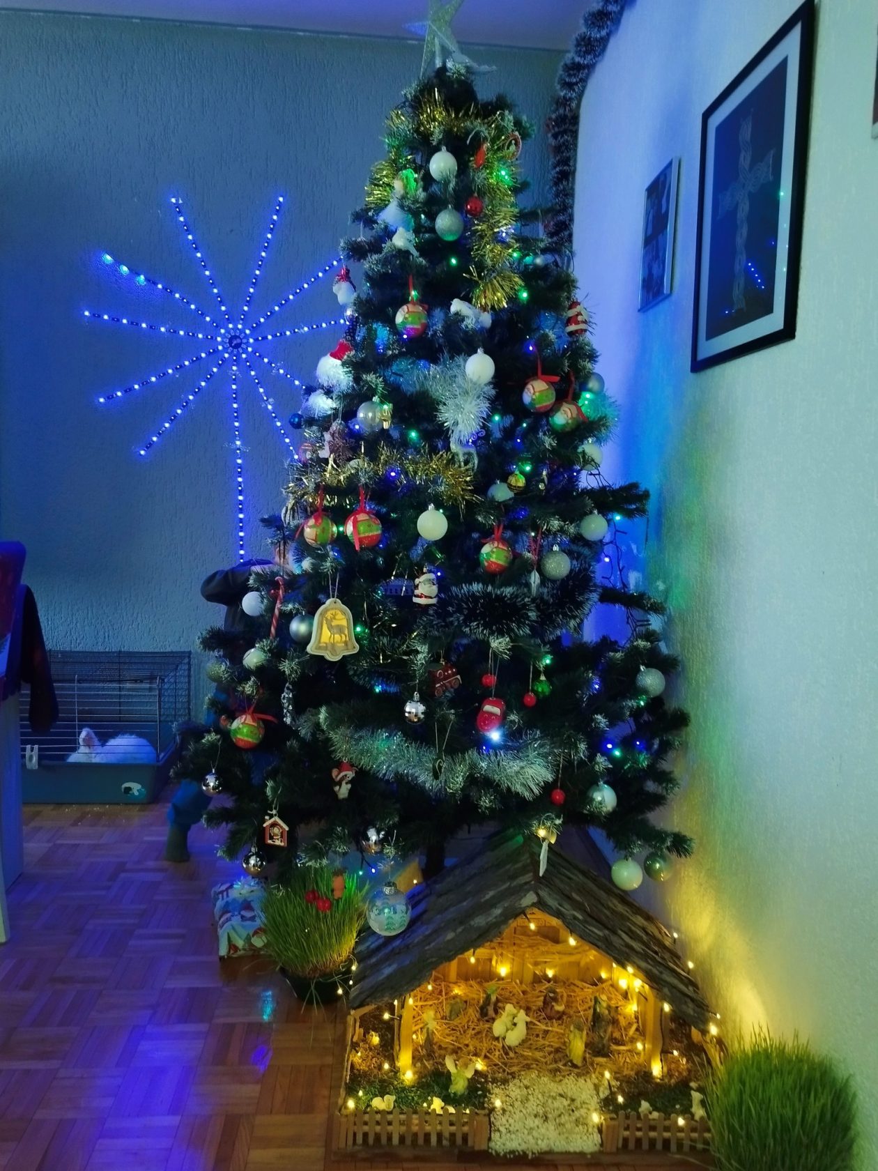 Božićna drvca 2025.