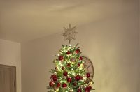 Božićna drvca 2025.