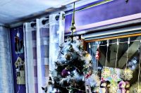 Božićna drvca 2025.