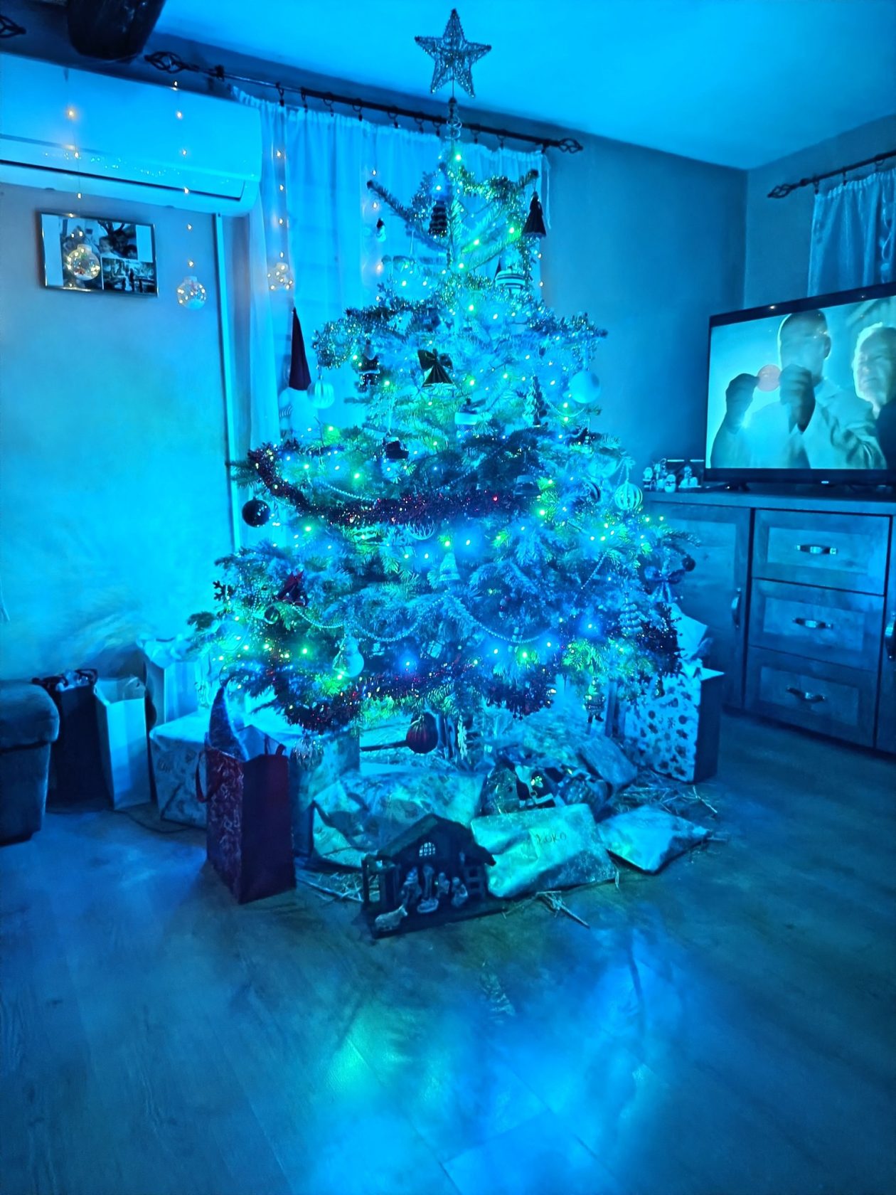 Božićna drvca 2025.