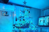 Božićna drvca 2025.