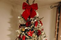 Božićna drvca 2025.