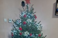 Božićna drvca 2025.