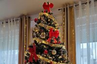 Božićna drvca 2025.