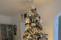 Božićna drvca 2025.