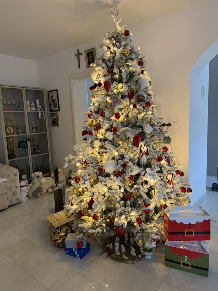 Božićna drvca 2025.