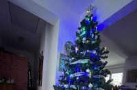 Božićna drvca 2025.