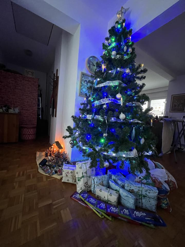 Božićna drvca 2025.