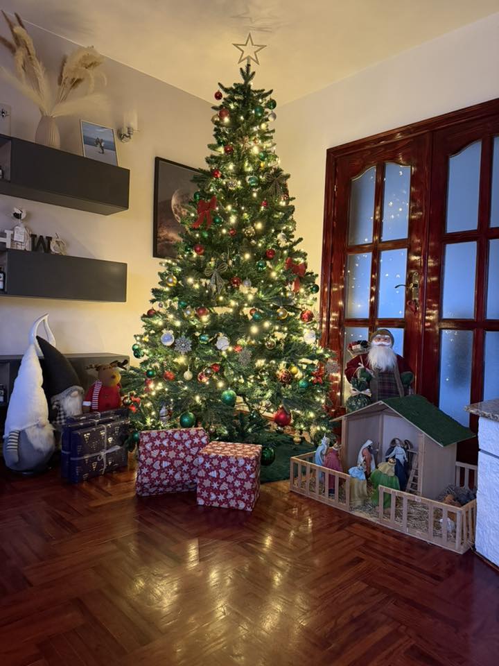 Božićna drvca 2025.