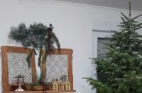 Božićna drvca 2025.