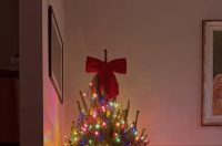 Božićna drvca 2025.