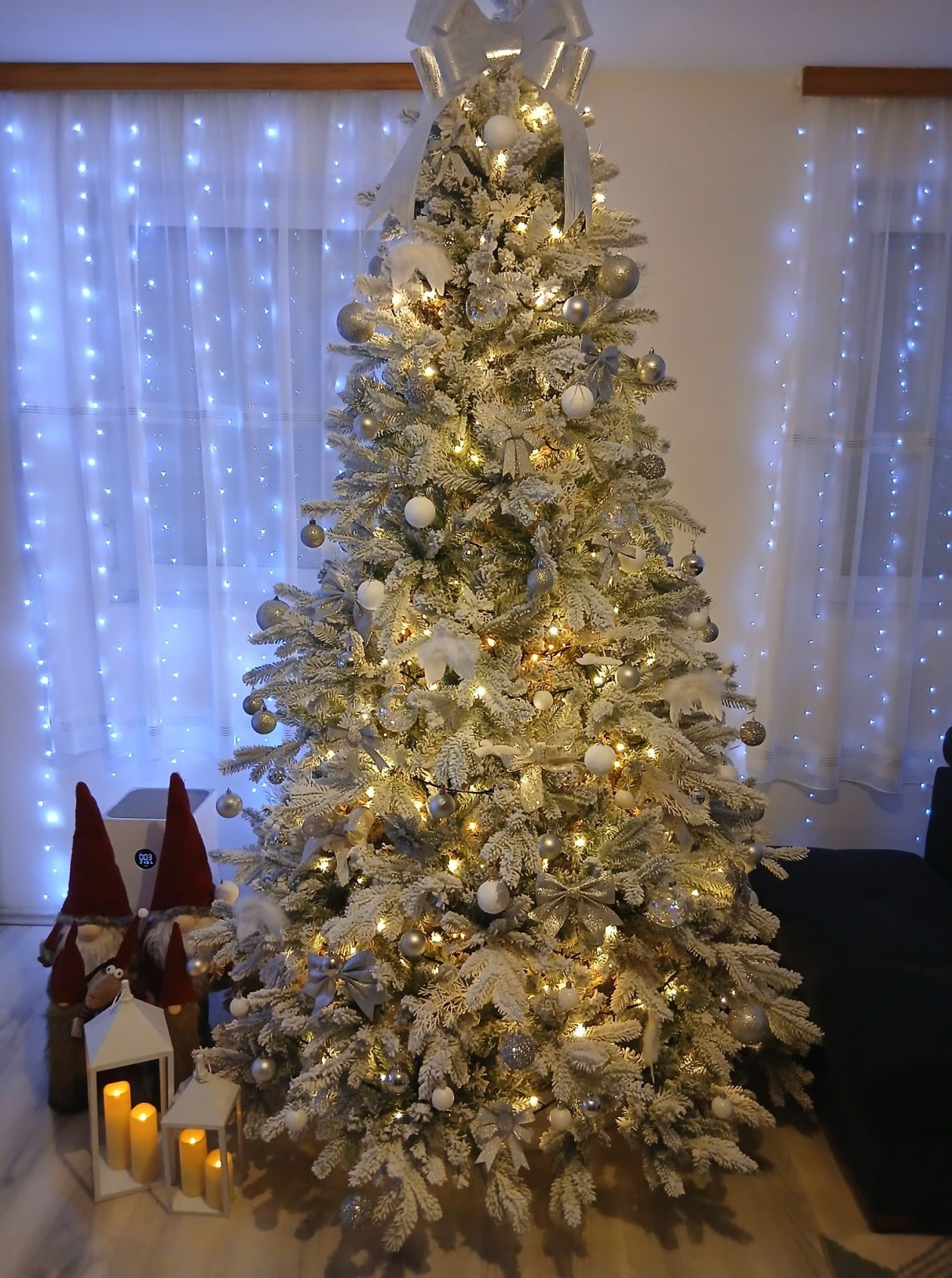 Božićna drvca 2025.