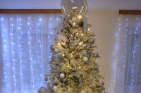 Božićna drvca 2025.