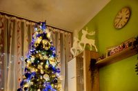 Božićna drvca 2025.