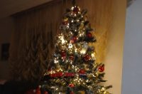 Božićna drvca 2025.