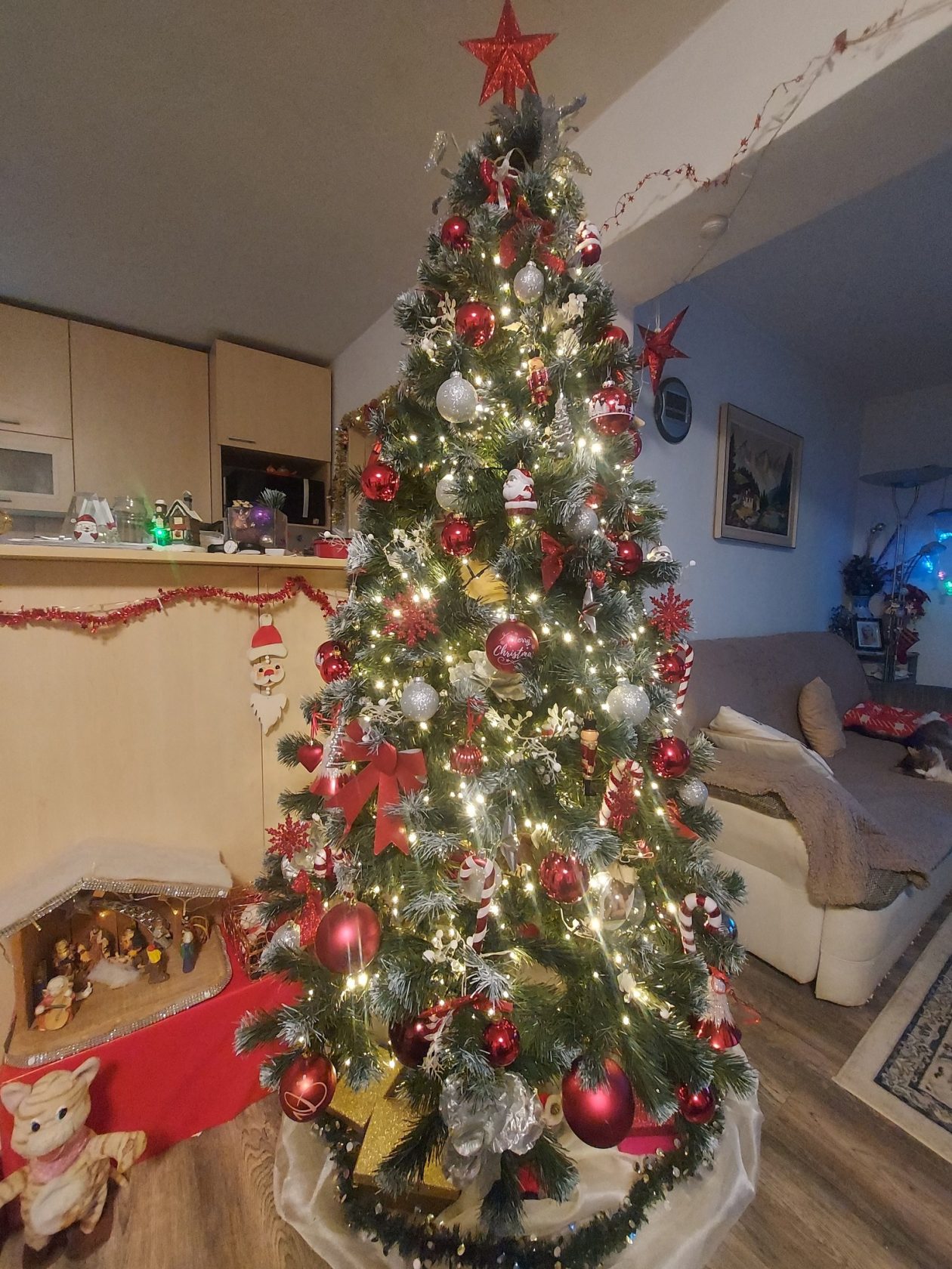 Božićna drvca 2025.