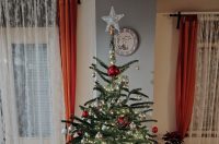 Božićna drvca 2025.