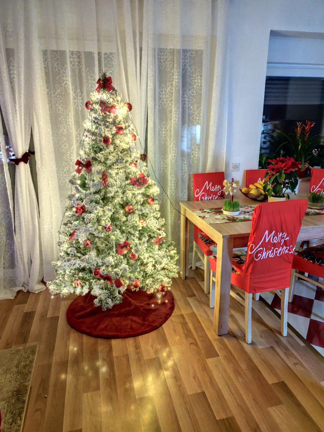 Božićna drvca 2025.