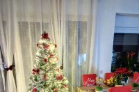 Božićna drvca 2025.