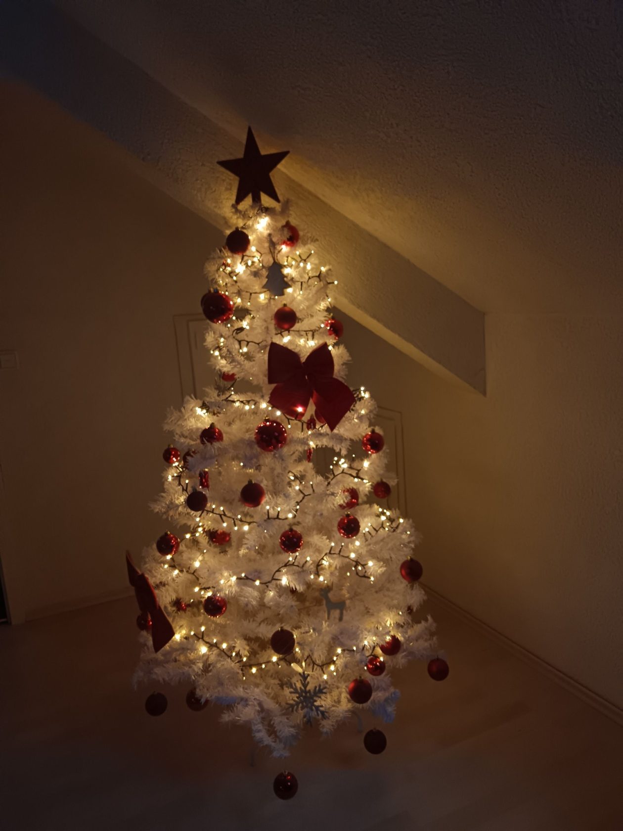 Božićna drvca 2025.