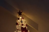 Božićna drvca 2025.