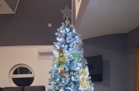 Božićna drvca 2025.