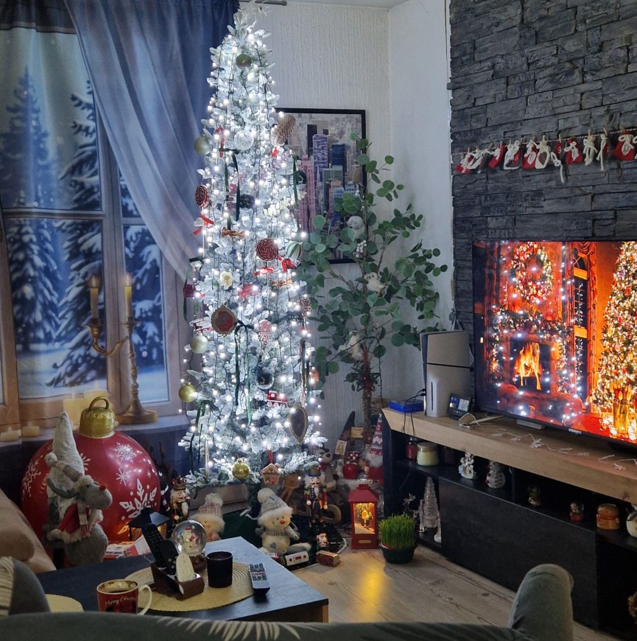 Božićna drvca 2025.