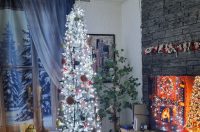 Božićna drvca 2025.