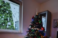 Božićna drvca 2025.