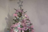 Božićna drvca 2025.