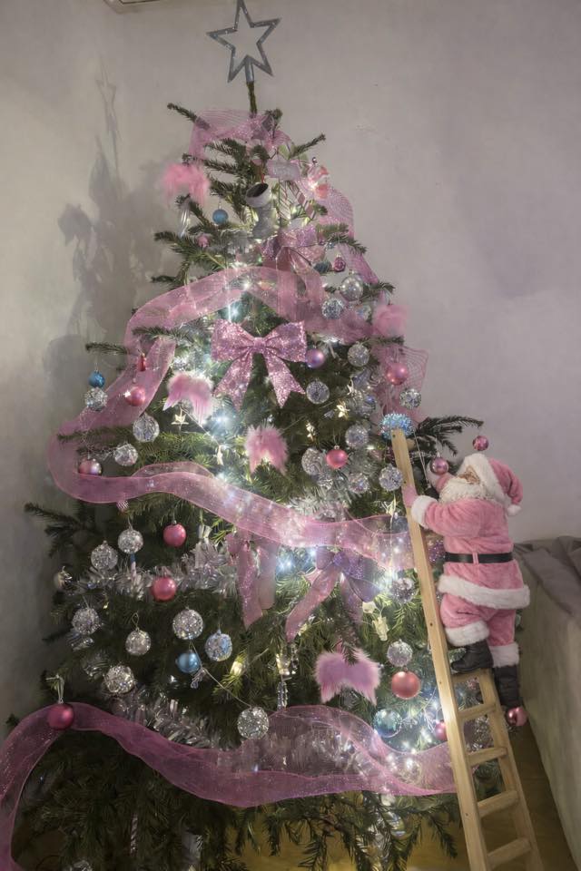 Božićna drvca 2025.