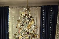 Božićna drvca 2025.