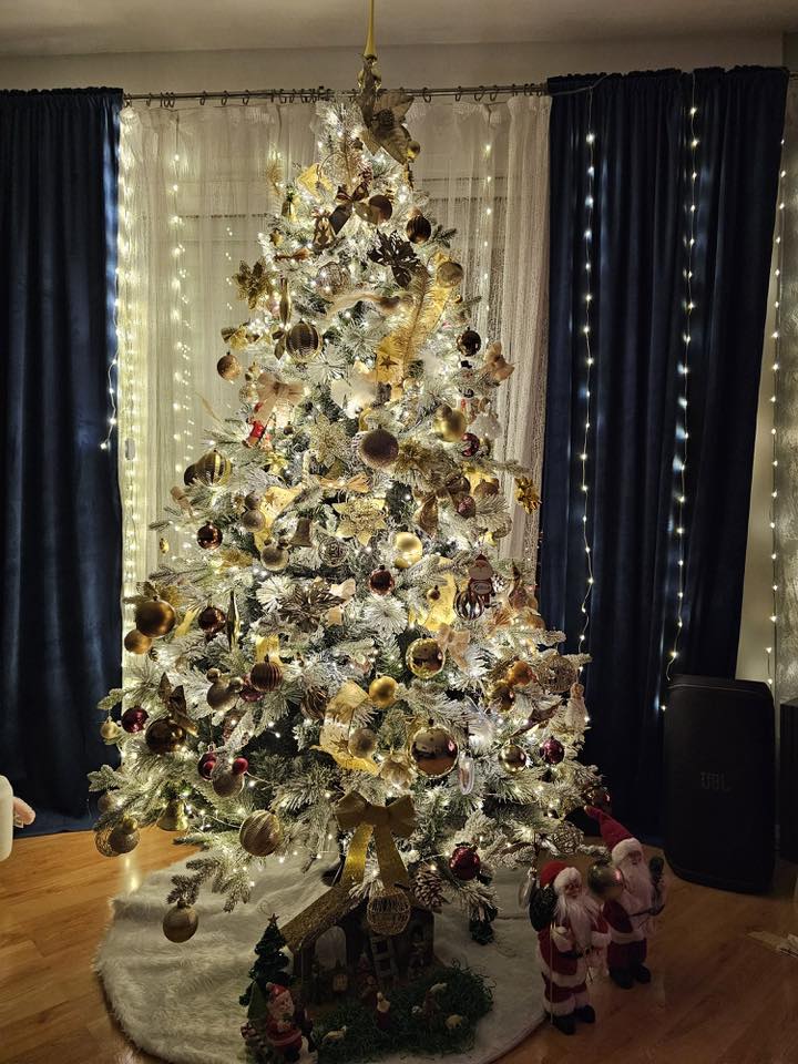 Božićna drvca 2025.