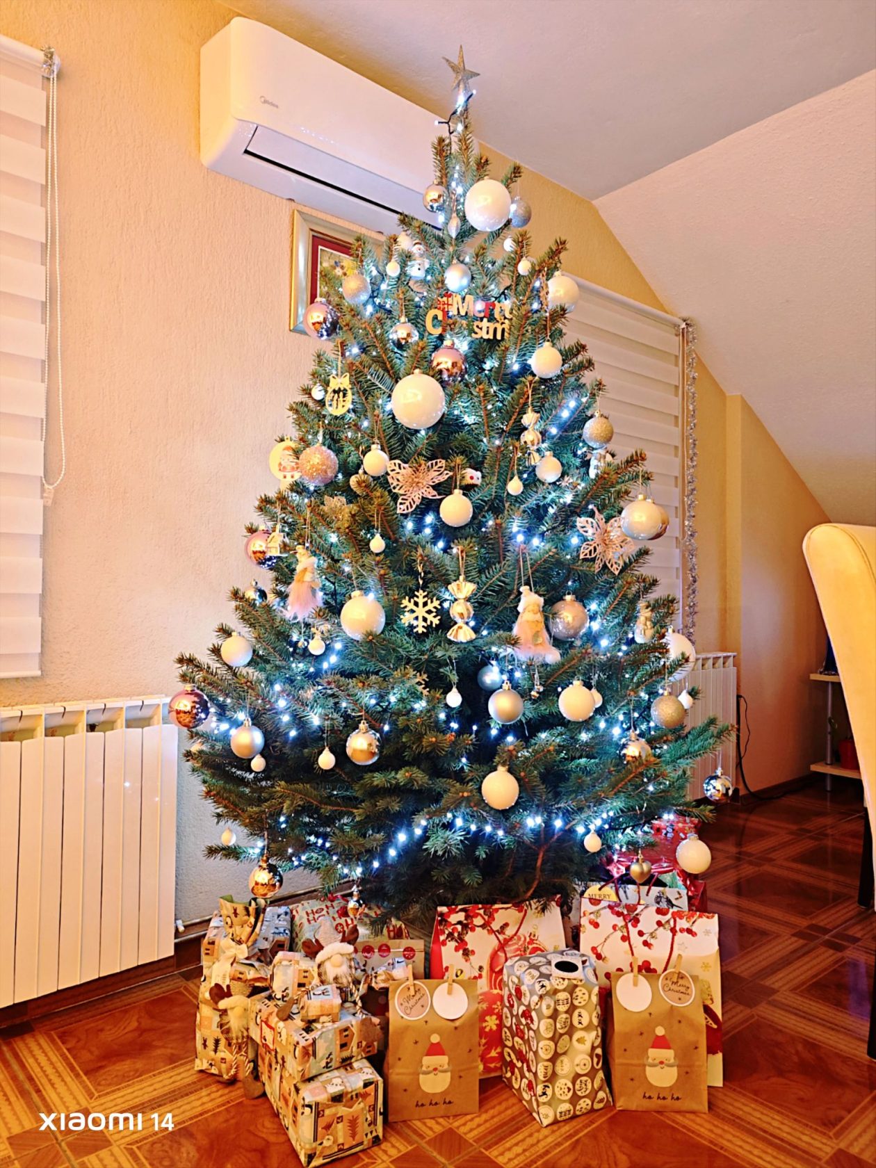 Božićna drvca 2025.