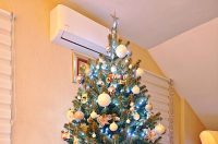 Božićna drvca 2025.