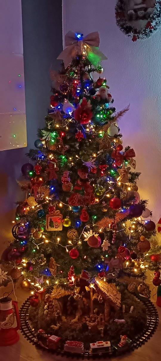 Božićna drvca 2025.