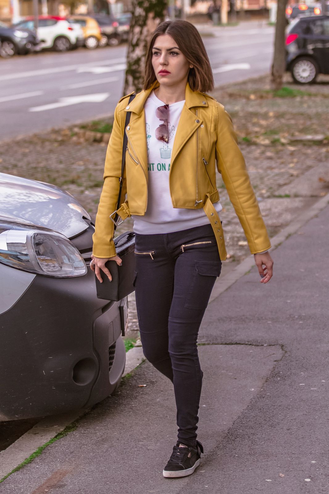 Legica dana 9.11.2019.