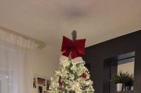 Božićna drvca 2025.