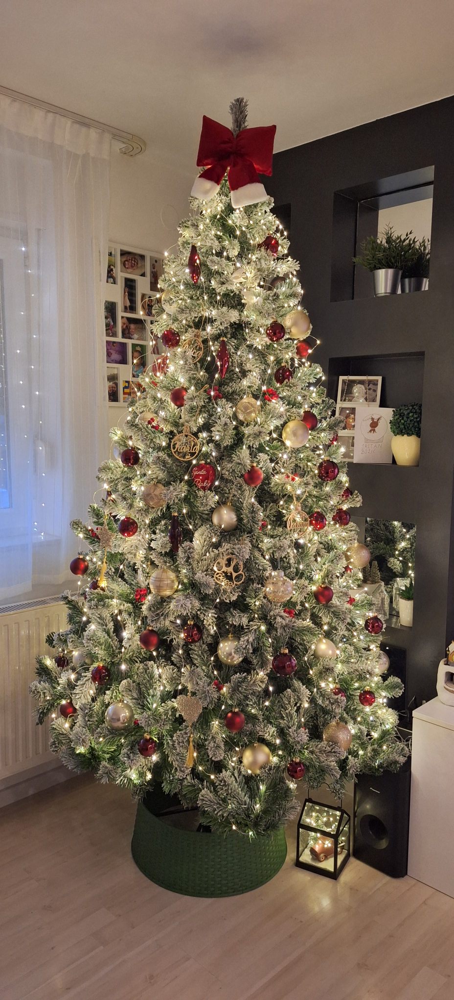 Božićna drvca 2025.