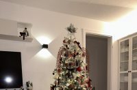 Božićna drvca 2025.