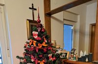 Božićna drvca 2025.