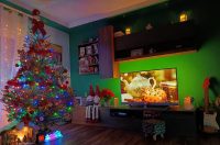 Božićna drvca 2025.