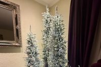 Božićna drvca 2025.