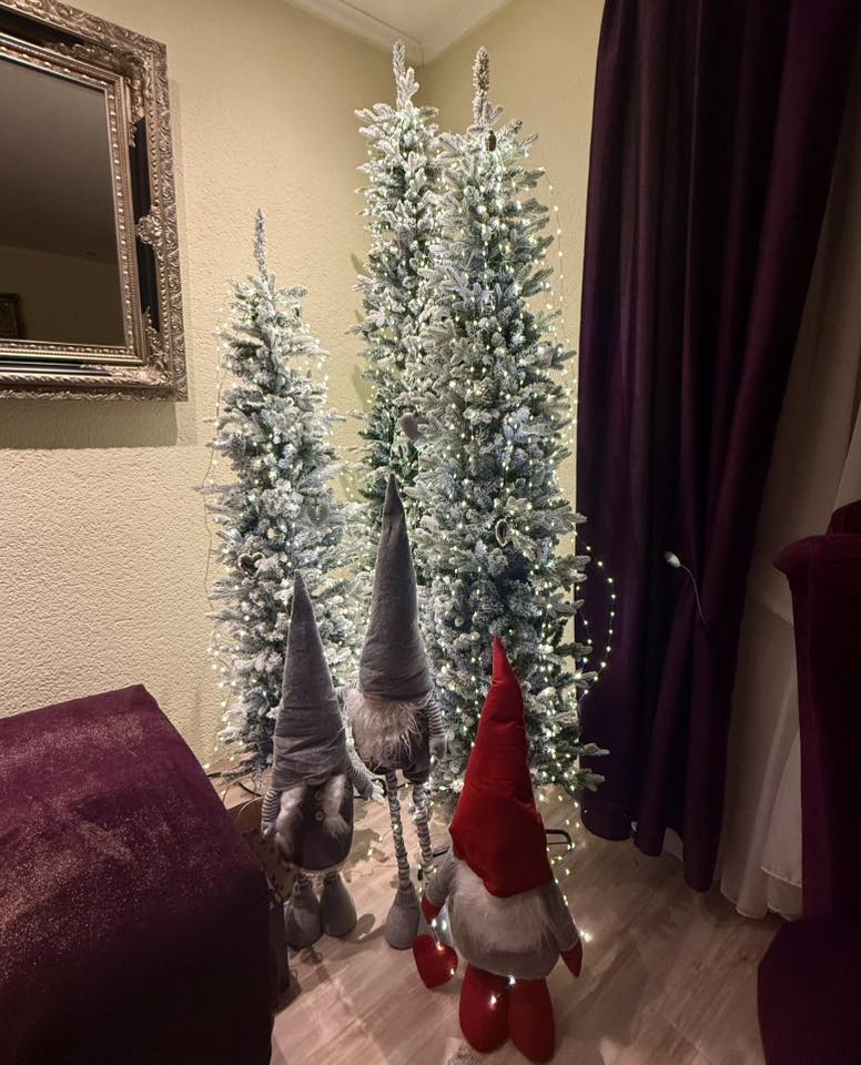 Božićna drvca 2025.