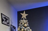 Božićna drvca 2025.